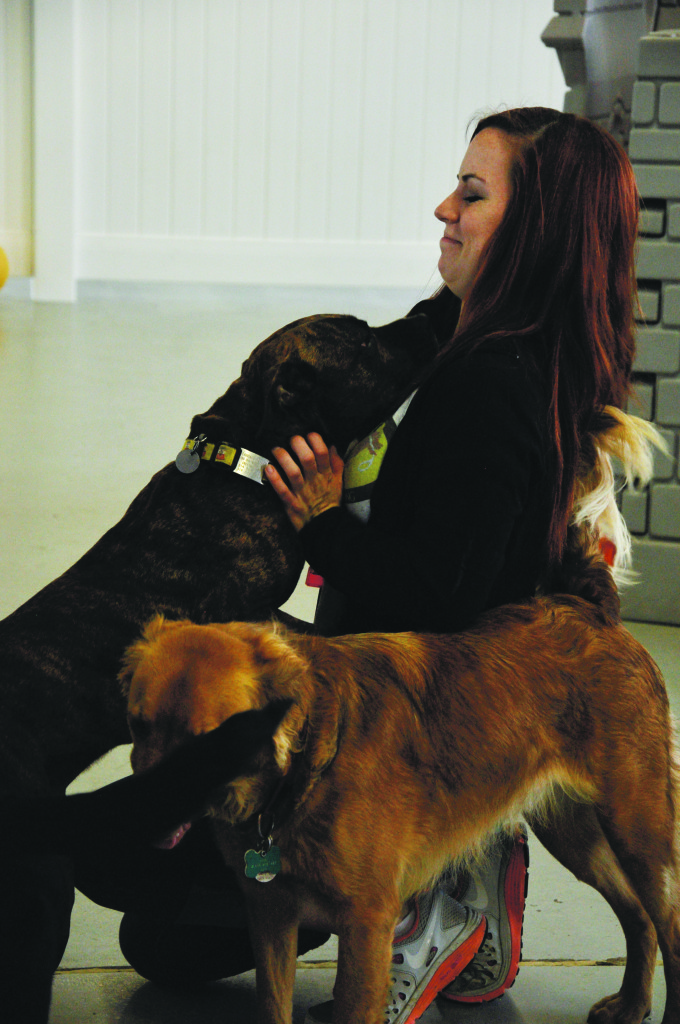 pups2_favz