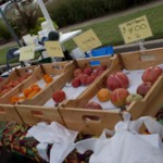 DohertyFarmers_Market-18