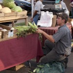 webDohertyFarmers_Market-25