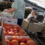 webDohertyFarmers_Market-62