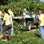Webster Works Worlwide volunteers load honeysuckle branches