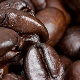 more-coffee-seeds