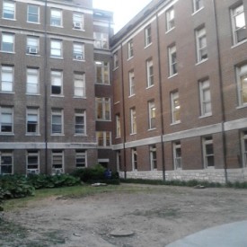Tree completely removed