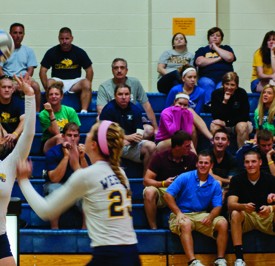 volleyballcrowd online