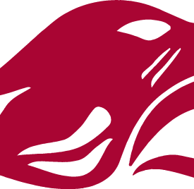concordiachicago