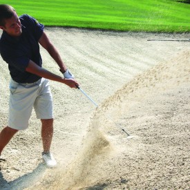 Golf_Holly