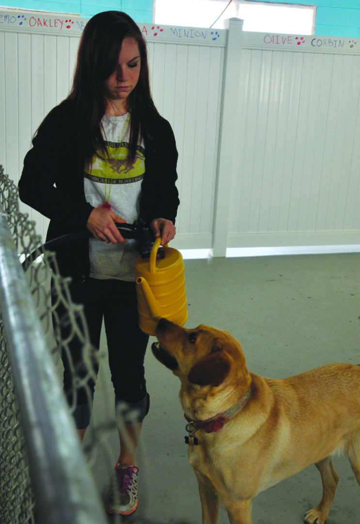 Woman with dog and watering can