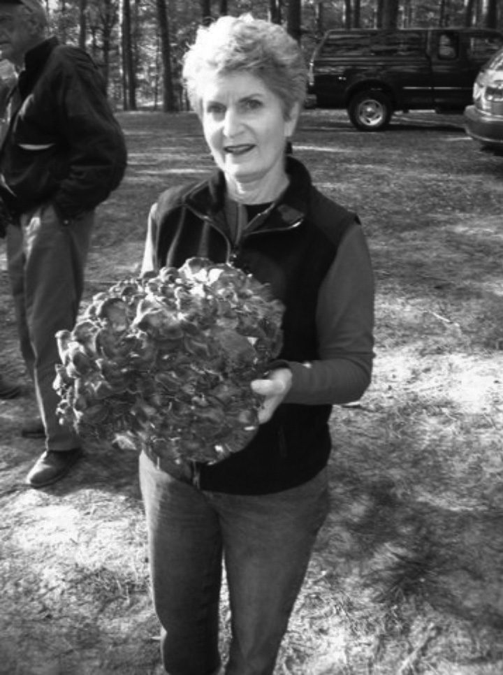 Person holding large mushroom outdoors