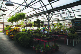 MARY MASURAT / The Journal Rolling Ridge Nursery is located at 60 N Gore Ave., St. Louis, MO. 63119.