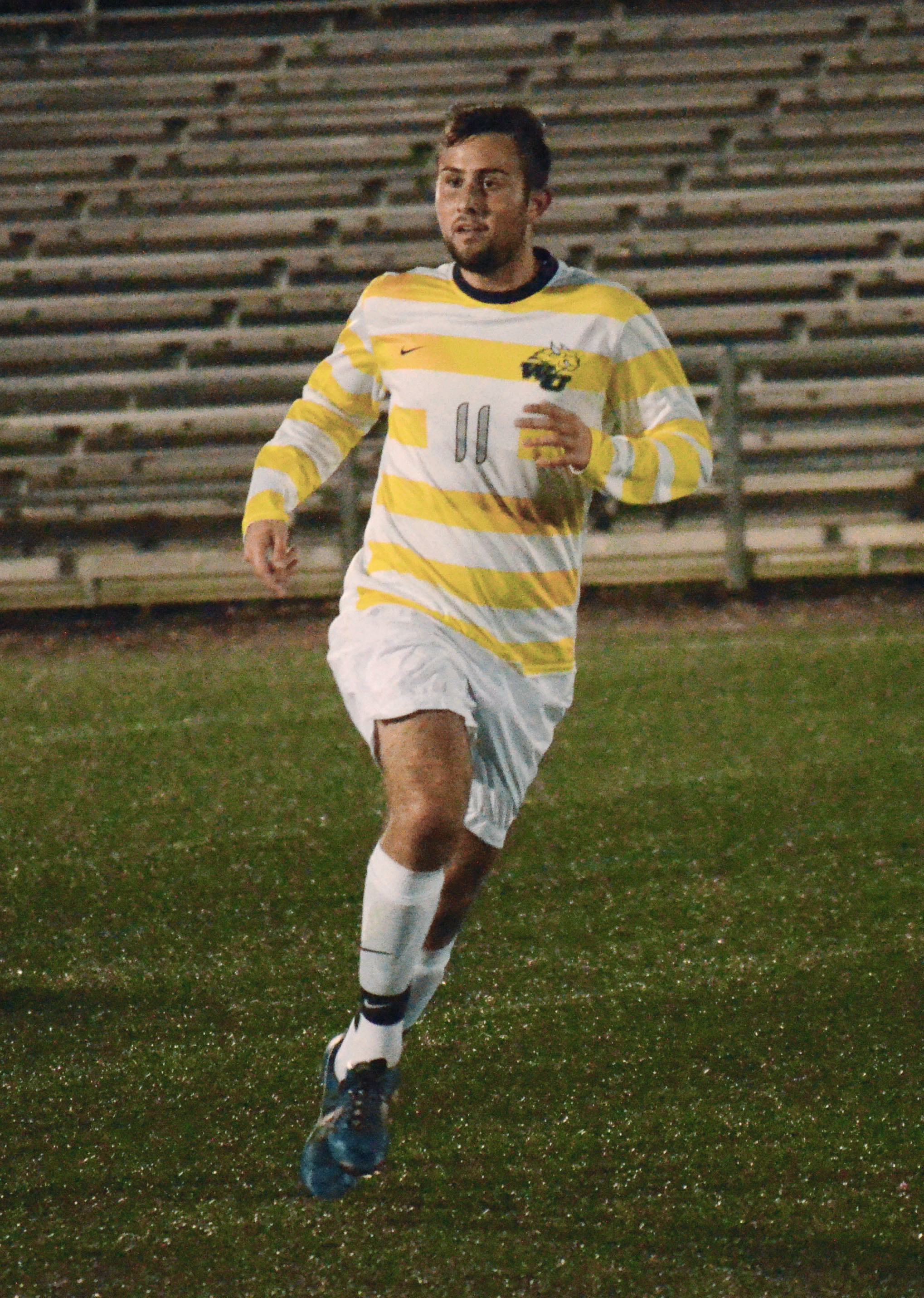 The ster Sports Roundup ster Journal