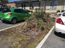 Green car beside parked white car