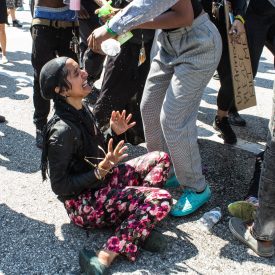 Protest-3