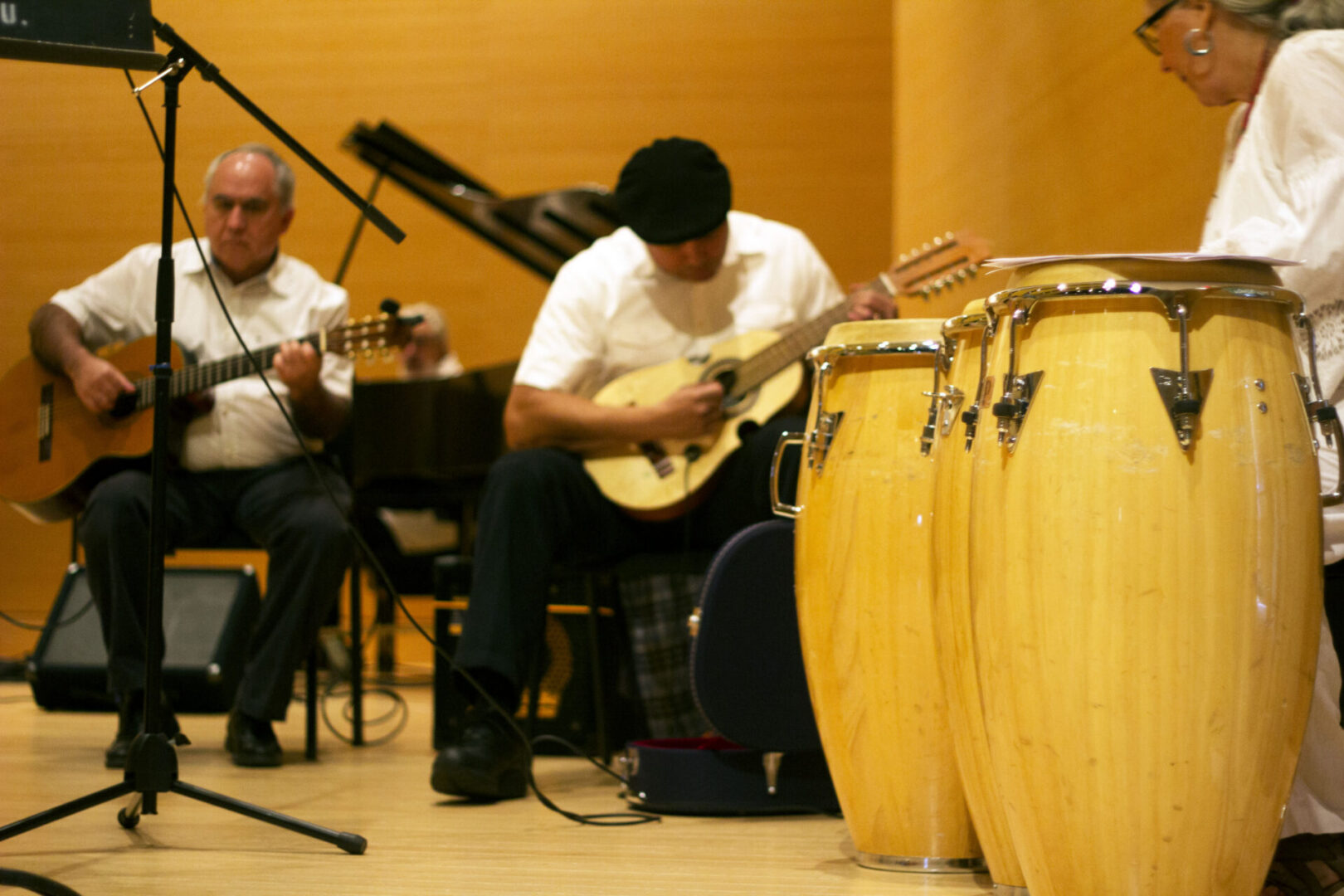 Live music session with acoustic instruments