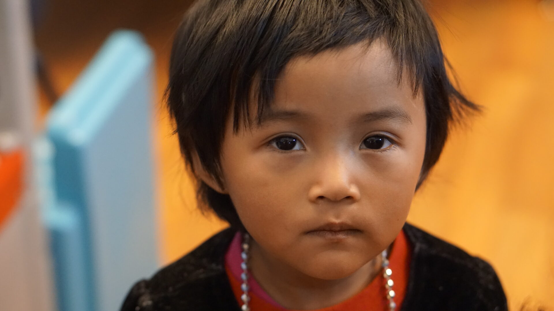 Young child in a red shirt.