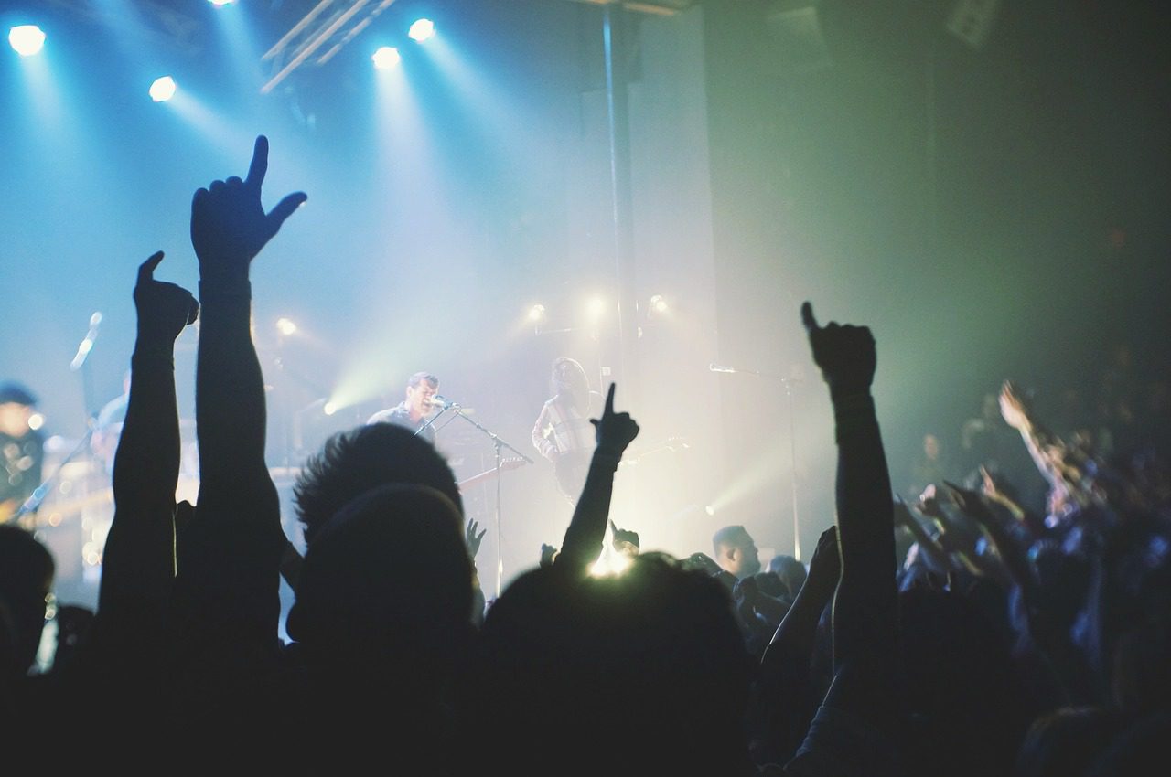 Audience cheering at a concert