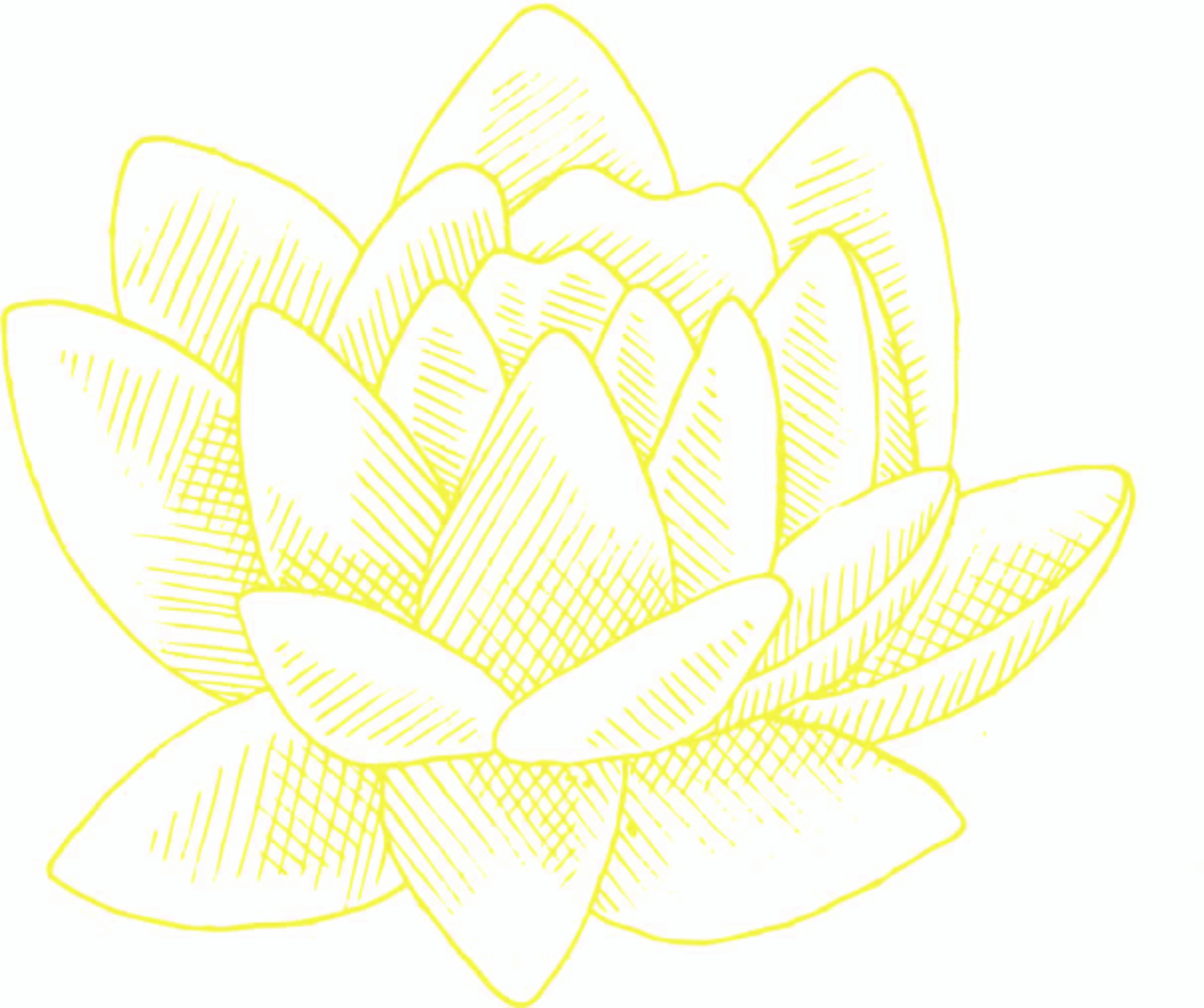 Lotus illustration with yellow outlines
