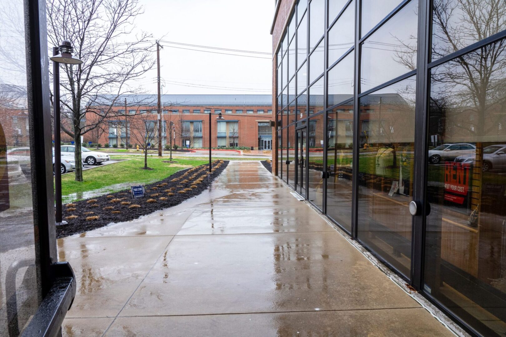 Rainy campus walkway with modern architecture