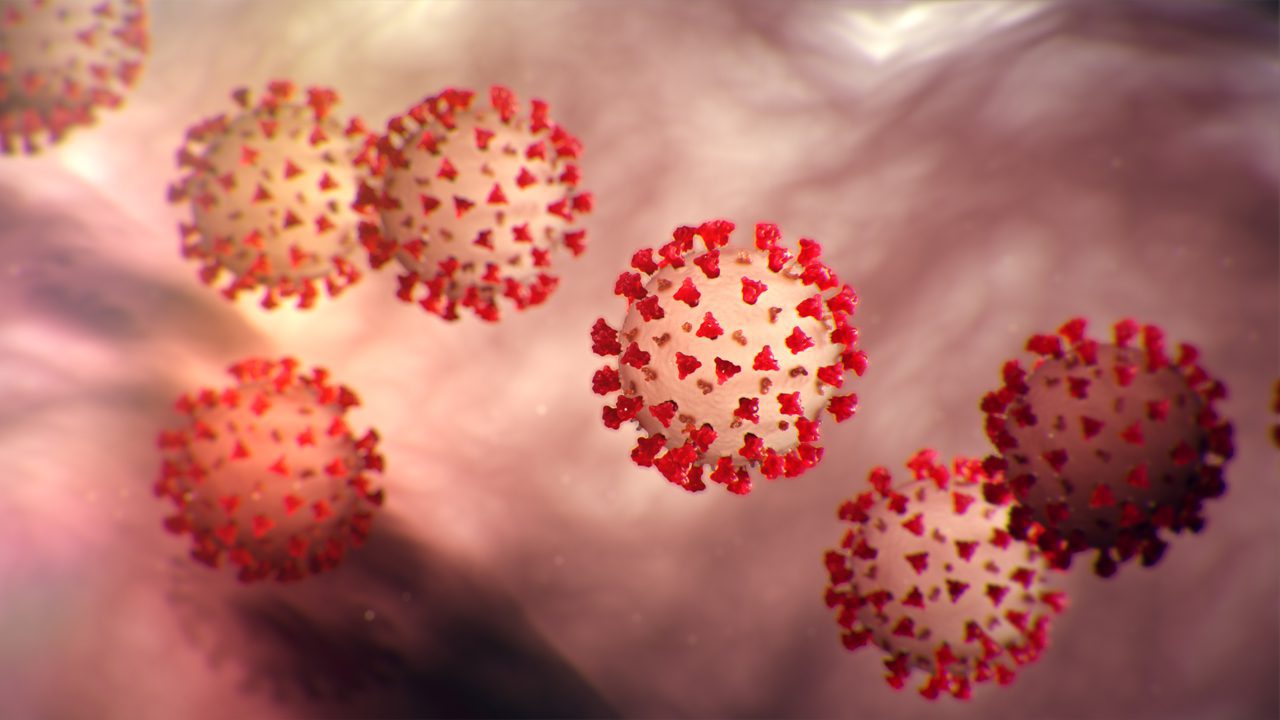 Microscopic view of coronavirus structure
