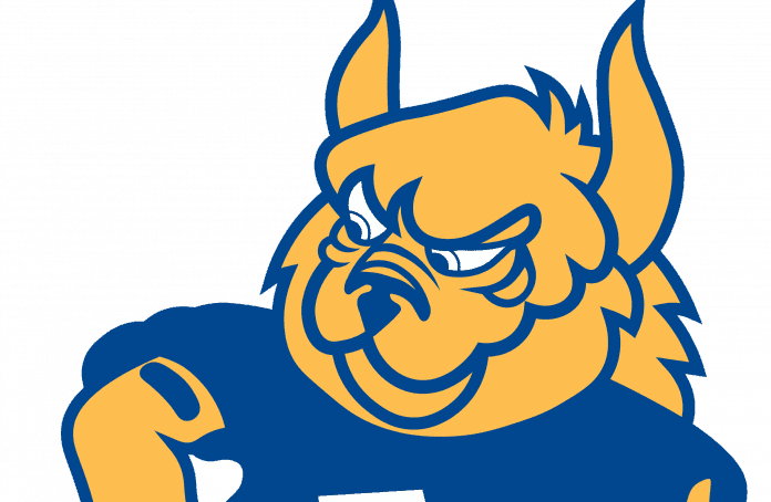 Cartoon lynx mascot in blue jersey