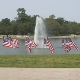 Flags waving near water fountain