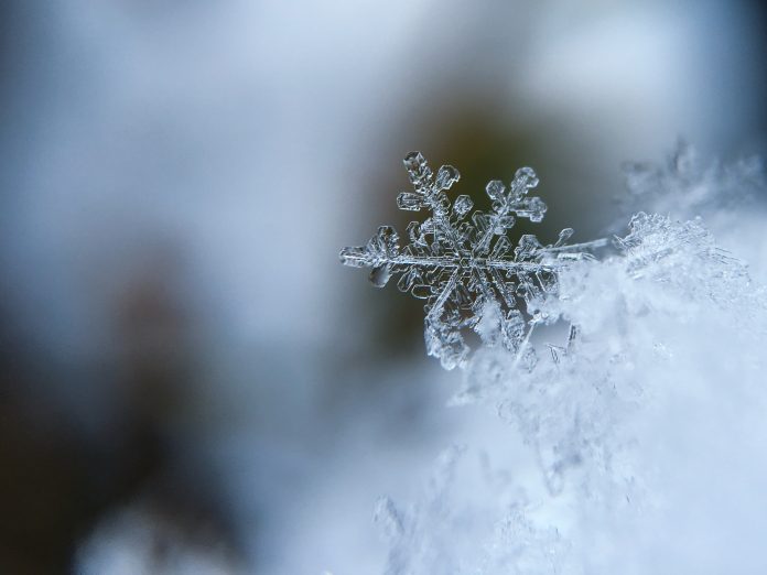 Close-up of a single snowflake