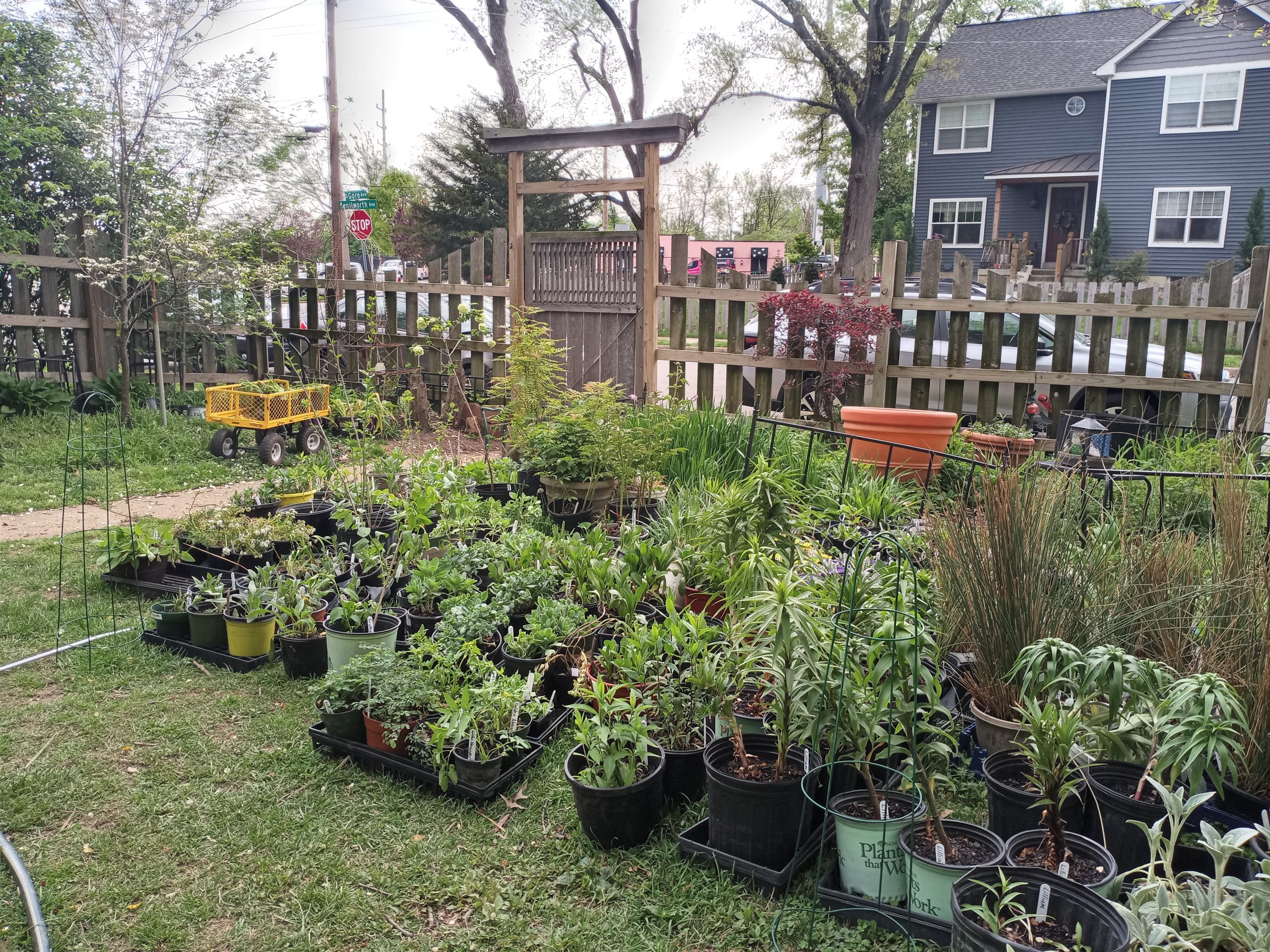 Local Women’s Garden Association to host first outdoor plant sale