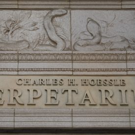 reptilehousefront