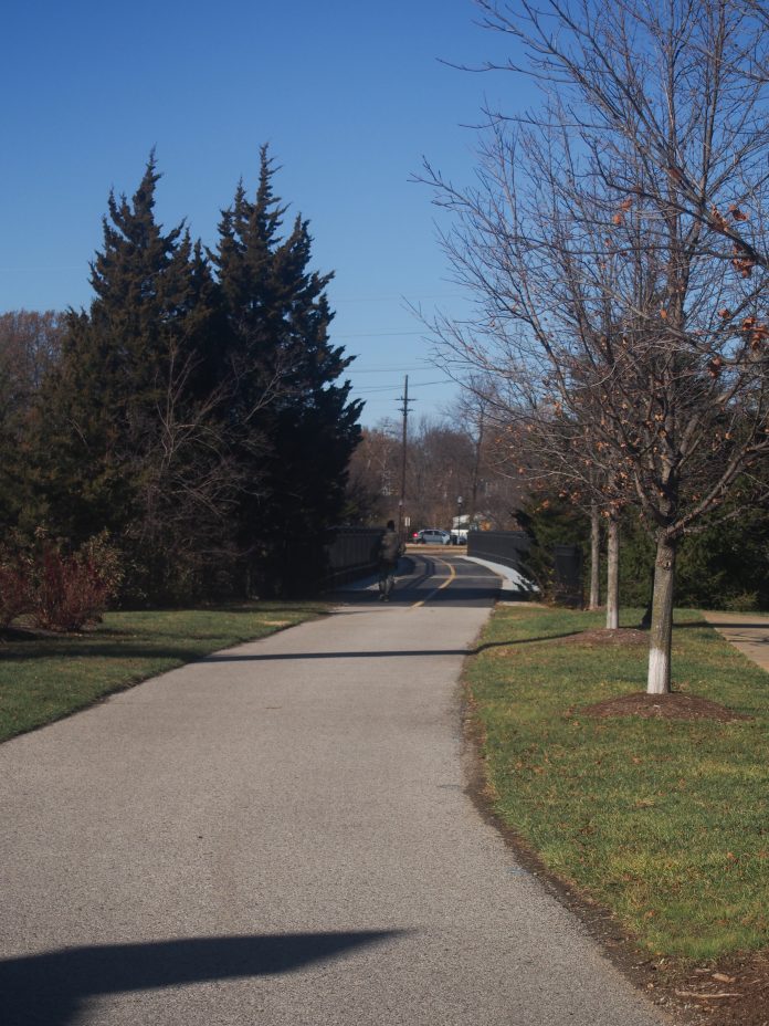 Quiet suburban road with bare trees