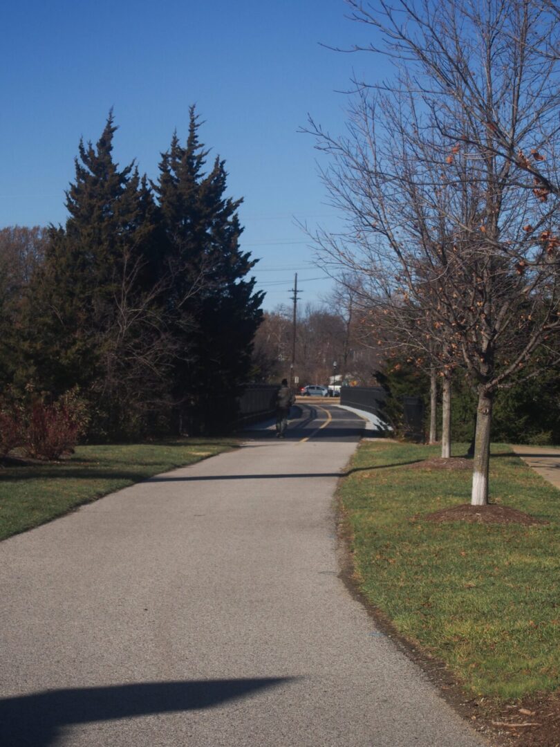 Quiet road with trees and grass