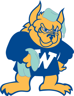 Fierce cartoon character with blue hat