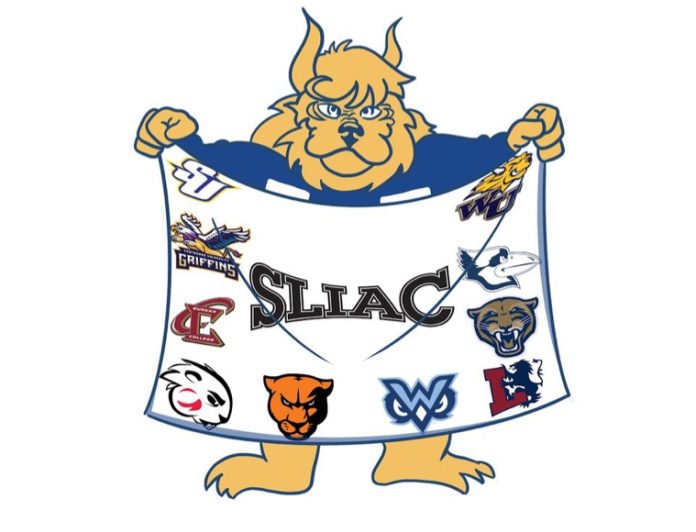 Mascot displaying sports league banner