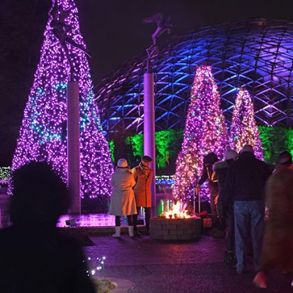 People enjoying a holiday light display