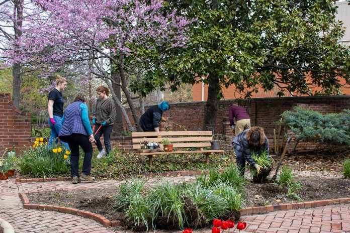 People gardening in a park