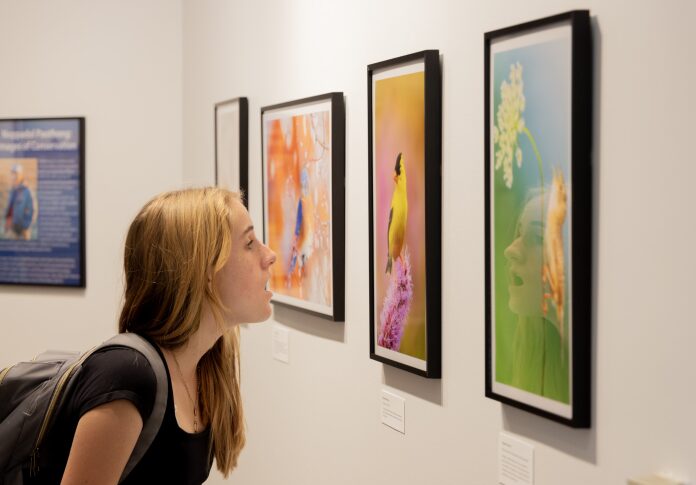 Woman admiring colorful bird artwork