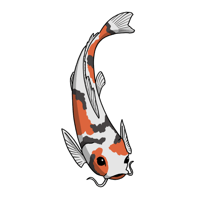 Koi fish illustration on black background
