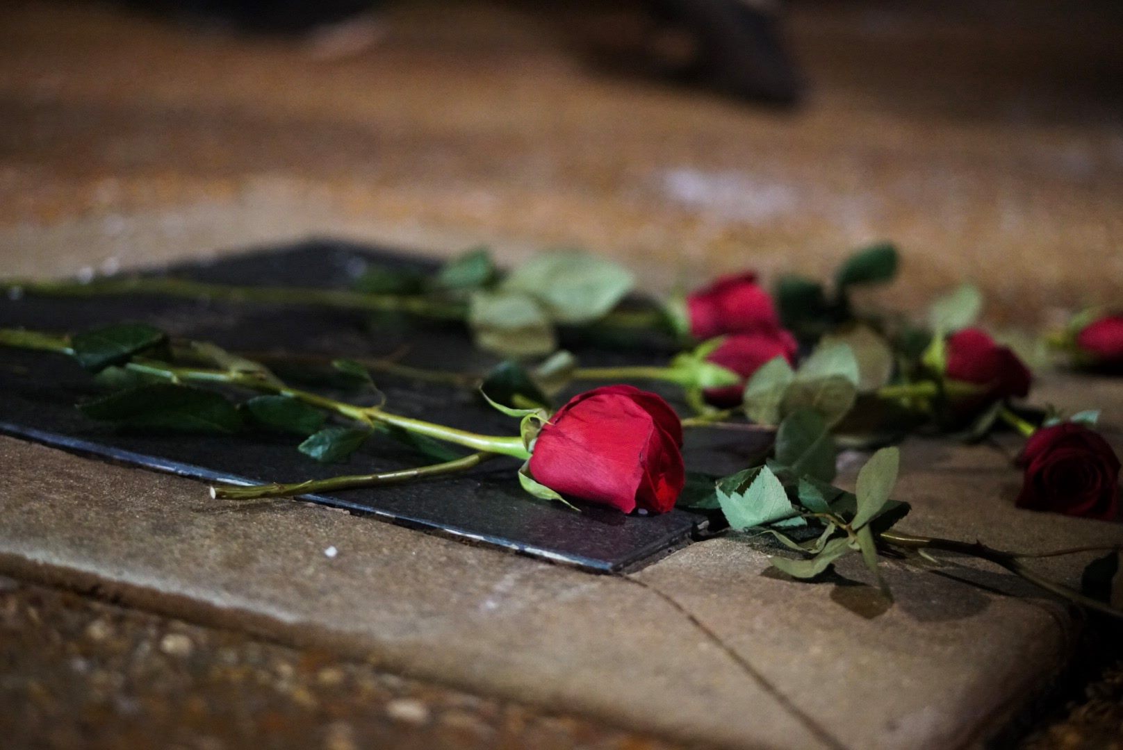 Roses placed on a dark stone background.