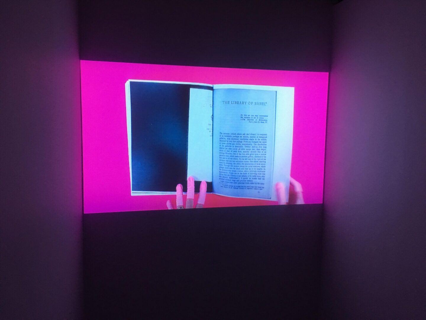Hands holding an open book