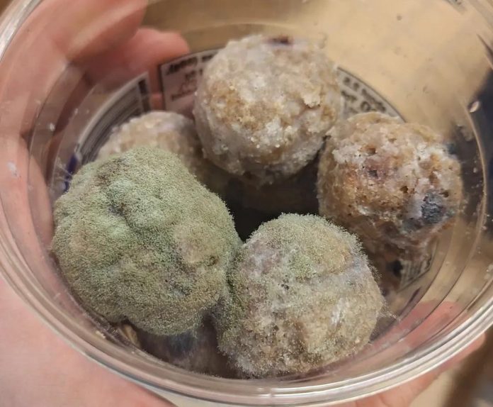 Spoiled food with visible mold growth