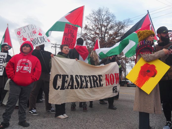 Crowd advocating for ceasefire in street