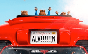 Red car with custom license plate