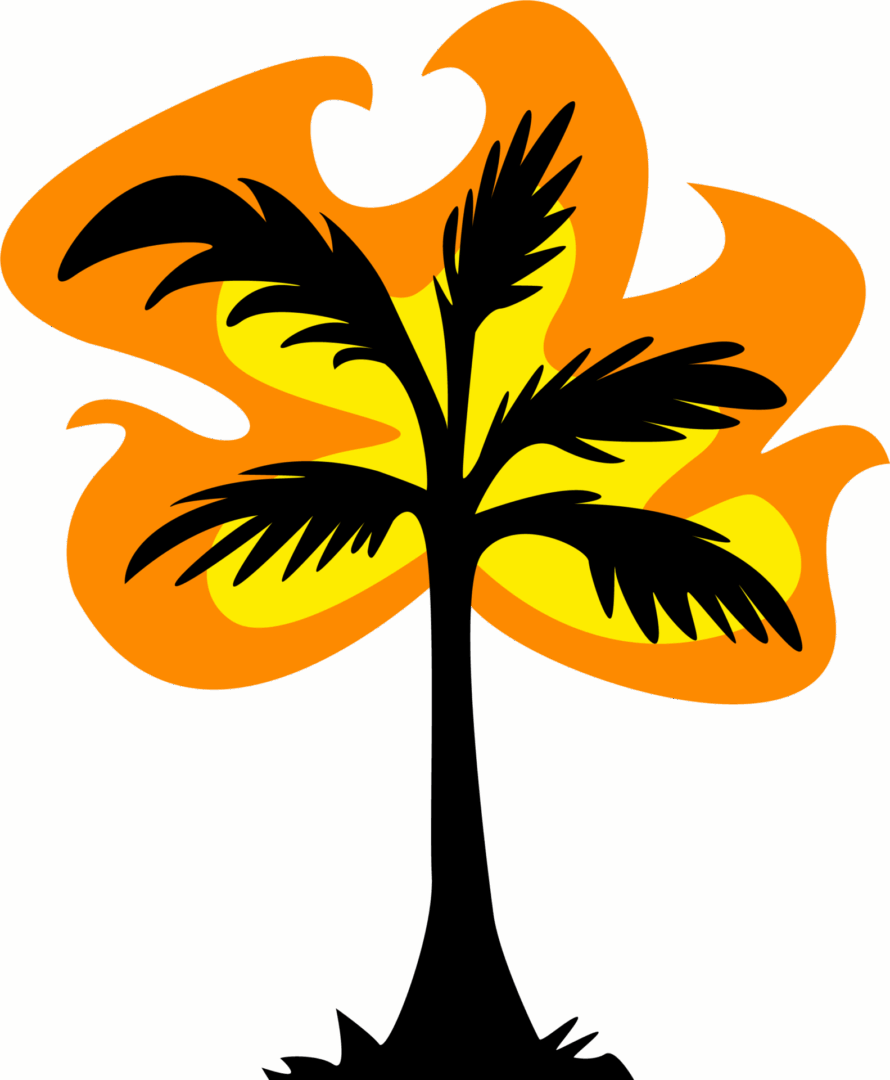 Fiery palm tree graphic on black background