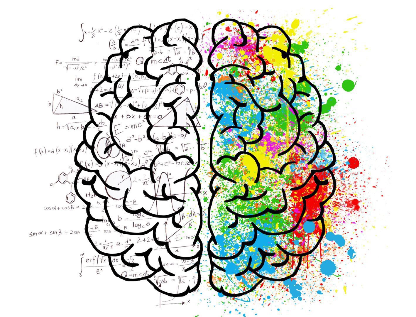 Creative and logical brain illustration