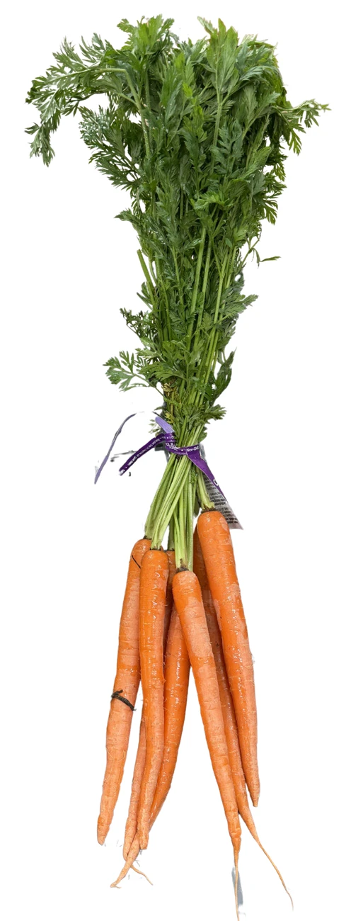 Bunch of organic carrots
