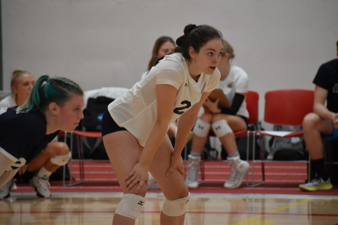 Focused volleyball athletes on court