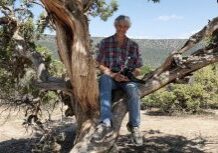 Man sitting on tree branch outdoors