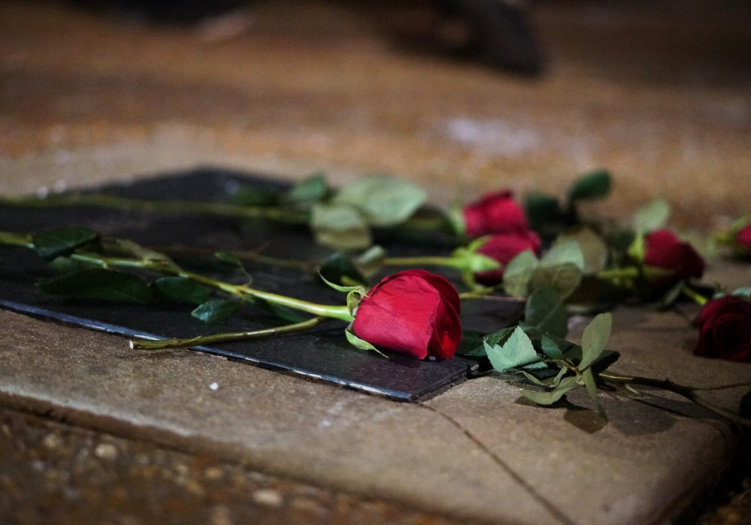Roses placed on a dark stone background.