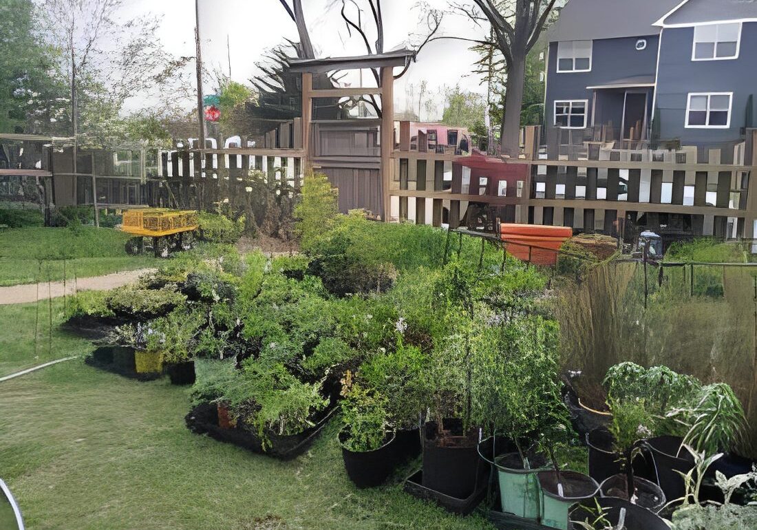 Plants in pots by wooden fence