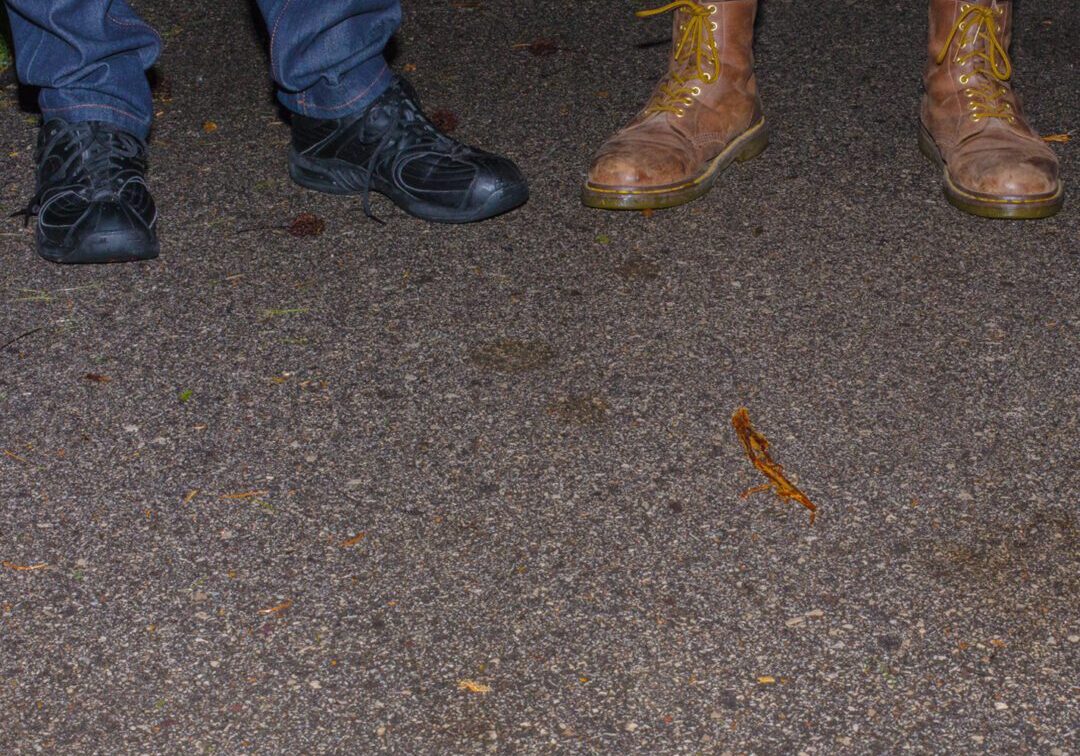 Close-up of shoes on sidewalk