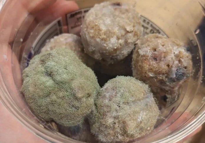 Spoiled food with visible mold growth