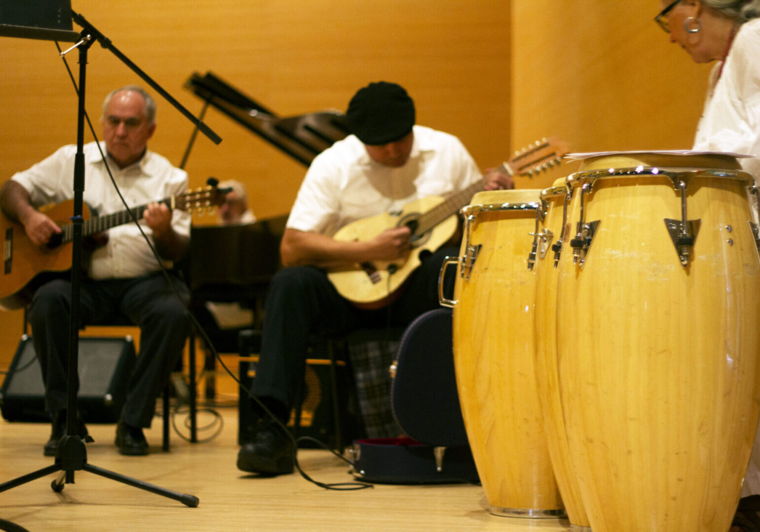 Live music session with acoustic instruments
